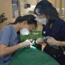 서울수미치과의원 이미지