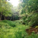 인천대공원 내 이미지