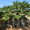 대사 마을회관 이미지