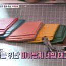 가죽살림