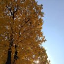 부개중앙점 이미지