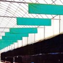 시동유정낚시터 이미지