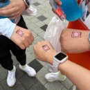 2026 월드비전 글로벌 6K 기부마라톤 참가후기