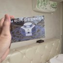 (주)환경을 가꾸다 | 집벌레종류 하나둘 보이길래 정리해본 후기