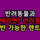 대한사료대리점 | 반려동물과 함께라면? 반려동물 동반 가능한 렌트카