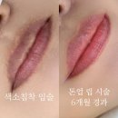 비비브로우 - 강동구 천호대로 1073 | 비비브로우
