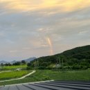 리리스테이 이미지