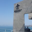 몰리힐스(MOLLI HILLS) | 바다 조망 대형카페 거제 장목면 몰리힐스molli hills