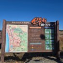 태안카부분정비 | 태안여행 가볼만한곳 태안 신두리 해안사구 다녀온 후기