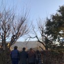 루아네 하우스 이미지