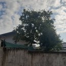 수원지민박 이미지