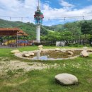 왕왕멍멍 이미지