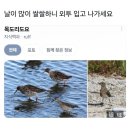 씨유 둘리점 | Bonne année Happy new year 새해 복 많이 받으세요