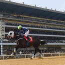 클린 원 이미지