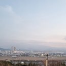 뚱보동산식당 | 2023년 2월 제주여행 4일차_귤당리/로봇플래닛/뚱보아저씨/점보빌리지/푸르곤/하우투플레이/알작지해변...