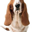 삼익소월아파트(상가) 이미지