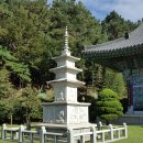 가람조경 - 서산시 남원3길 14 | 가람조경