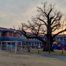 청안초등학교 병설유치원 이미지