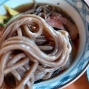 장어랑새우랑 - 통영시 | 광양 중마동 맛집 모리｜장어덮밥 맛집의 계절 메뉴 단새우 냉소바 내돈내산 후기