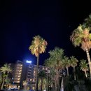 표선리-32 이미지