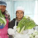 소연농장 이미지