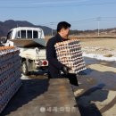 곡성-256 네이버블로그