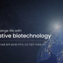 엘엔씨