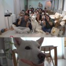 사랑을나누는행복농장