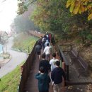 쁘띠프랑스 청소년수련원 이미지