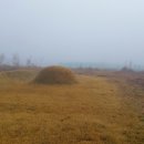 성환토굴새우젓 이미지