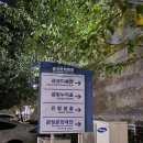 베리어프리 뮤지컬 친절한 돼지씨 이미지