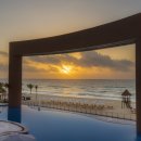 팔레스 레스토랑 이미지