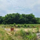 산정대덕 이미지