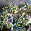 호장농장 이미지