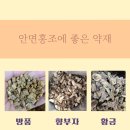 침사랑 한의원 Daum카페