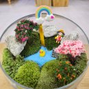 조물조물 생활도에 이미지