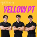 옐로우피티 이미지