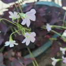 순아미용실 이미지