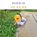 훈육 | 화내는 엄마 vs 5세 말 안듣는 아이 훈육 방법 스트레스 극복 후기