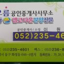 해오름체육관 이미지