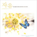 신실 어린이집 | 마더와이즈 2020-1기 자유편 후기와 2기 소개 | 송촌장로교회