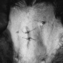 닥터펫 동물의료센터 이미지