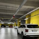 앙쥬레브 애견호텔&애견유치원 송도점 이미지