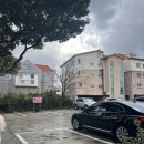 다동뼈감탕 이미지