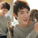 달달한 고양이 이미지