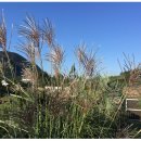 가을민박 이미지