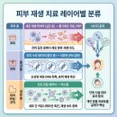 채움남성의원 | 혈액 줄기세포 시술 후기 전, 꼭 읽어야 할 것들: 병원 선택부터 주의사항까지