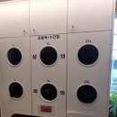 신강초교 | 신월동헬스장 PT 추천 | 바디앤짐 헬스&amp;PT 신월점 후기
