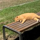 하대동187 | 2023년 8월 월간기록