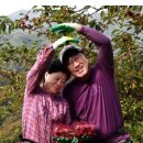 김두용농장 이미지